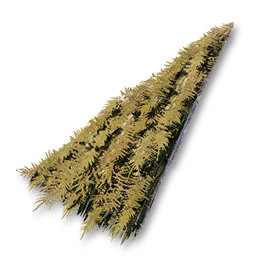 Thatch Roof Corner