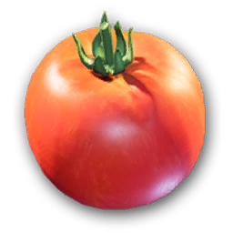 Tomato