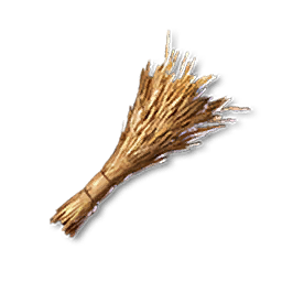 Wheat
