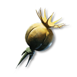 Yeast