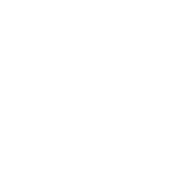 Bug Tool