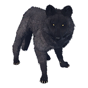 Black Wolf