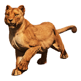 Cougar