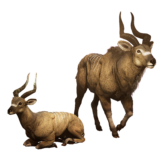 Antelope