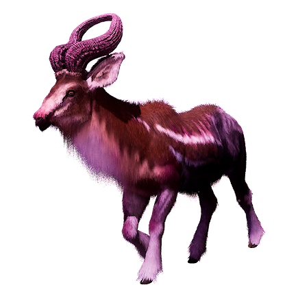 Plains Equix