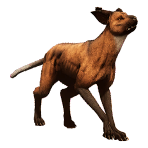 Hyena