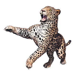 Jaguar
