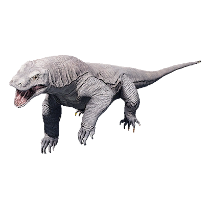 Komodo