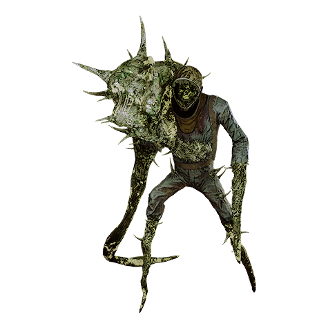 Wraith