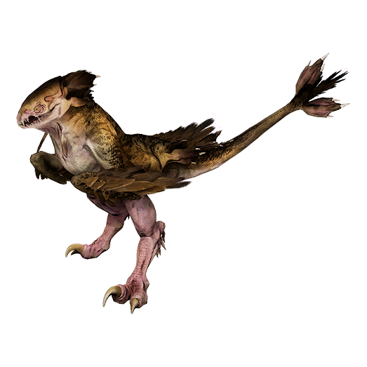 Raptor