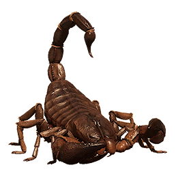 Scorpion