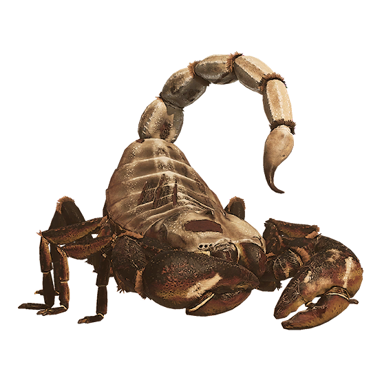 Giant Scorpion
