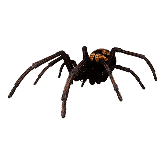 Sulfuric Spider