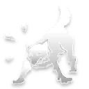 Wolf Attack