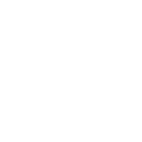 Rotting Carcass