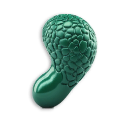 Acidic Glands