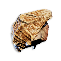 Decorative shell