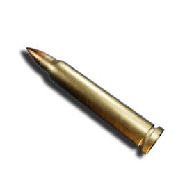 5.56mm Round
