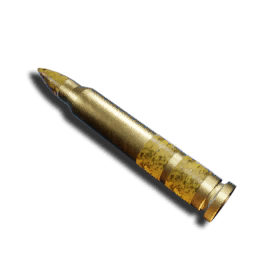 5.56mm Explosive Round