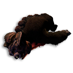 Garganutan Carcass