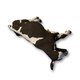 Calf Carcass
