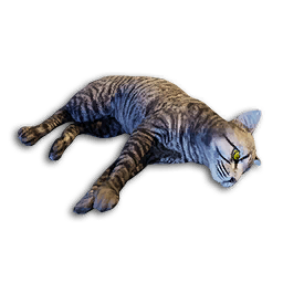 Cat Carcass