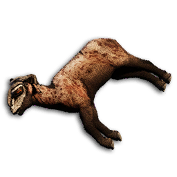 Chala Carcass