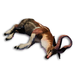 Plains Equix Carcass