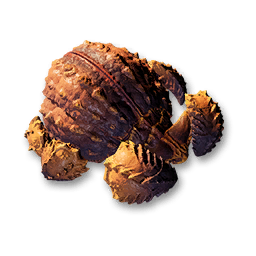 Ravager Carcass