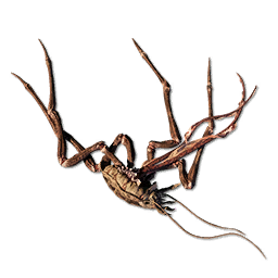 Clicker Carcass