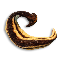 Hammerhead Carcass