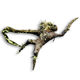 Wraith Carcass