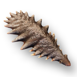 Ignari Carcass