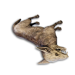 Skulmutt Carcass