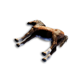 Horse Carcass