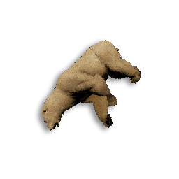 Polar Bear Cub Carcass