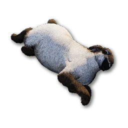 Snow Pygmy Lop Carcass