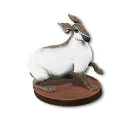 Snow Pygmy Lop Trophy