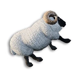 Ram Carcass