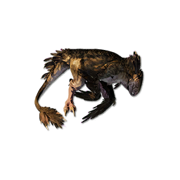 Raptor Carcass