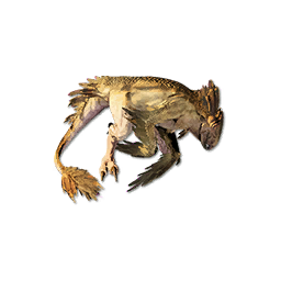 Dune Raptor Carcass