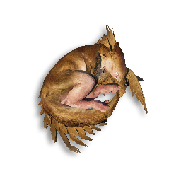 Juvenile Raptor Carcass