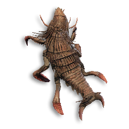 Reaver Carcass