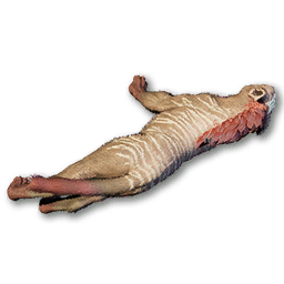 Juvenile Slinker Carcass