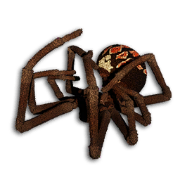 Spider Carcass