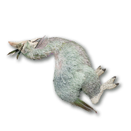 Juvenile Ubis Carcass