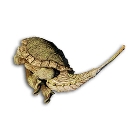 Stryder Carcass