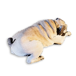 Pug Carcass
