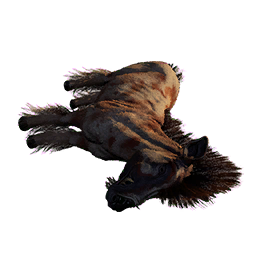 Terrenus Carcass