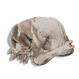 Juvenile Gribbler Carcass